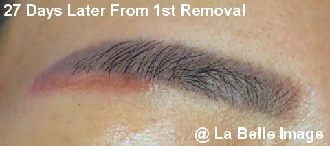 Permanent Make Up Eyebrows 27 Days Later From 1st Removal
